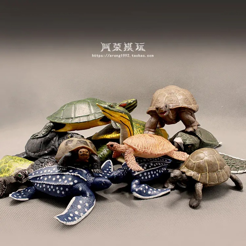 Ocean Aquarium - Kura-kura Telinga Merah Kulit Keras Miniatur