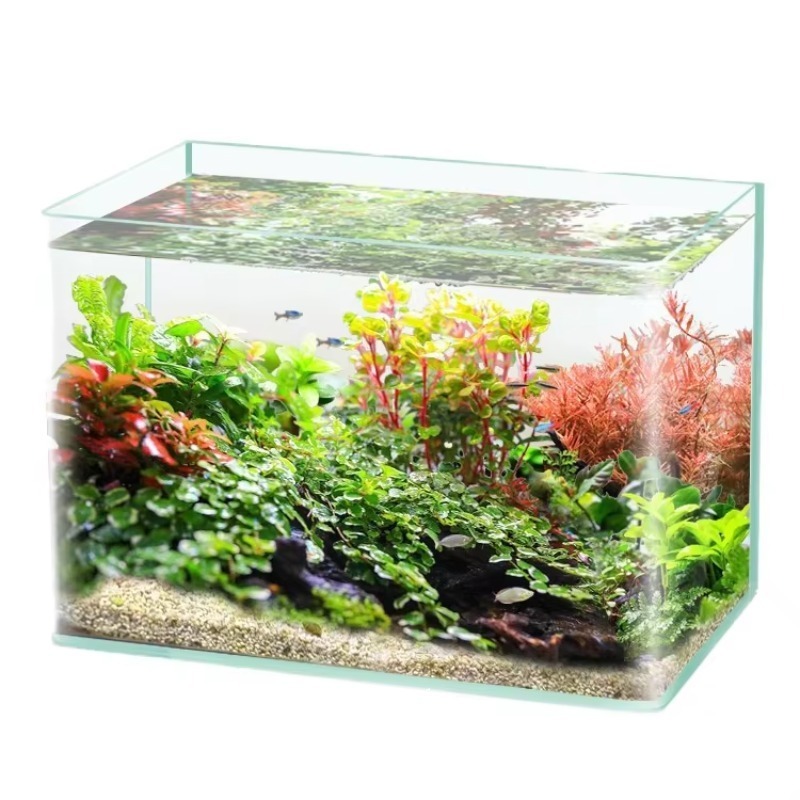 Saltwater Tank - Akuarium Meja Kaca Lengkung Ultra Jernih