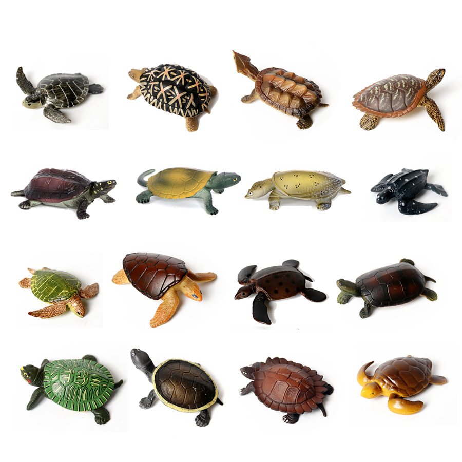 Marine Fish Tank - Miniatur realistis kehidupan laut Model kura-kura
