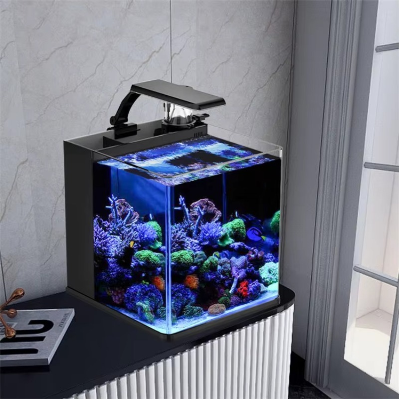 Akuarium Ikan Air Asin Mini da - Marine Aquarium Cube ulasan dan harga