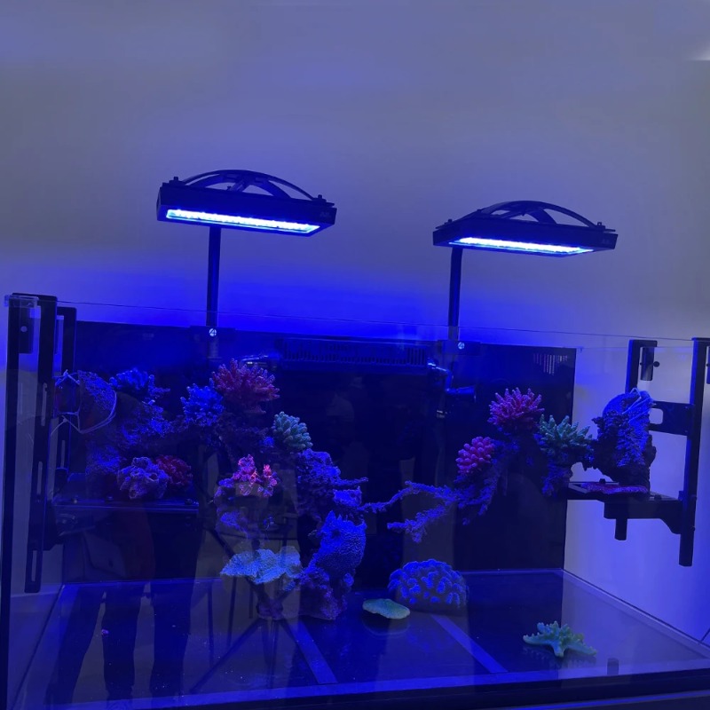 Kontrol Lampu LED A8 Pro II MA - Reef Lighting ulasan dan harga