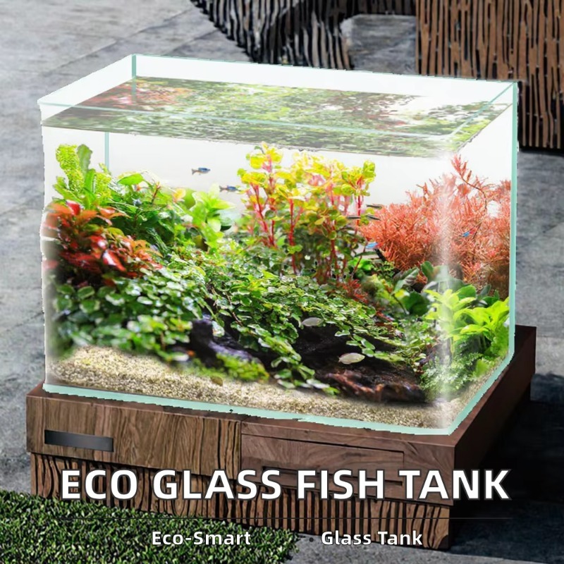 Akuarium Meja Kaca Lengkung Ul - Saltwater Tank ulasan dan harga