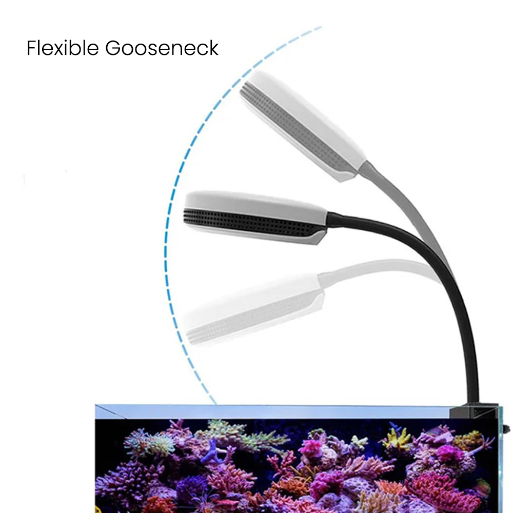 Lampu LED Akuarium Spectra SP2 - Marine Coral ulasan dan harga