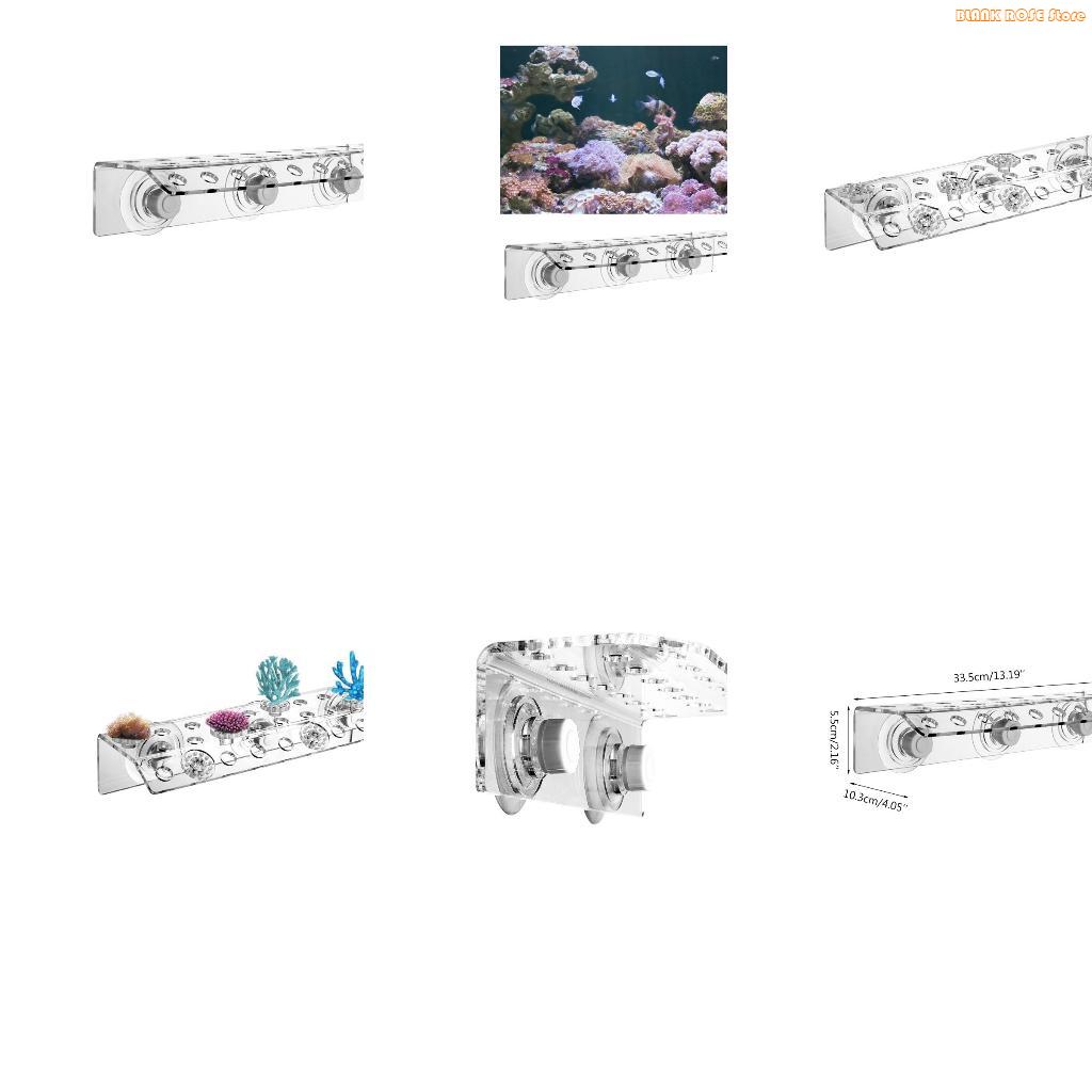 Rak Frag Karang Akrilik K1AE u - Reef Aquarium ulasan dan harga