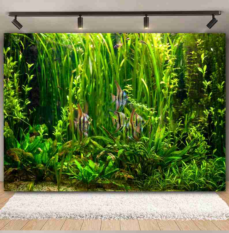 Di bawah laut dasar laut fotog - Aquarium Marine World ulasan dan harga