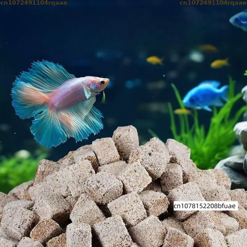 Pakan Ikan Akuarium Isi Ulang, - Marine Aquarium Cube ulasan dan harga