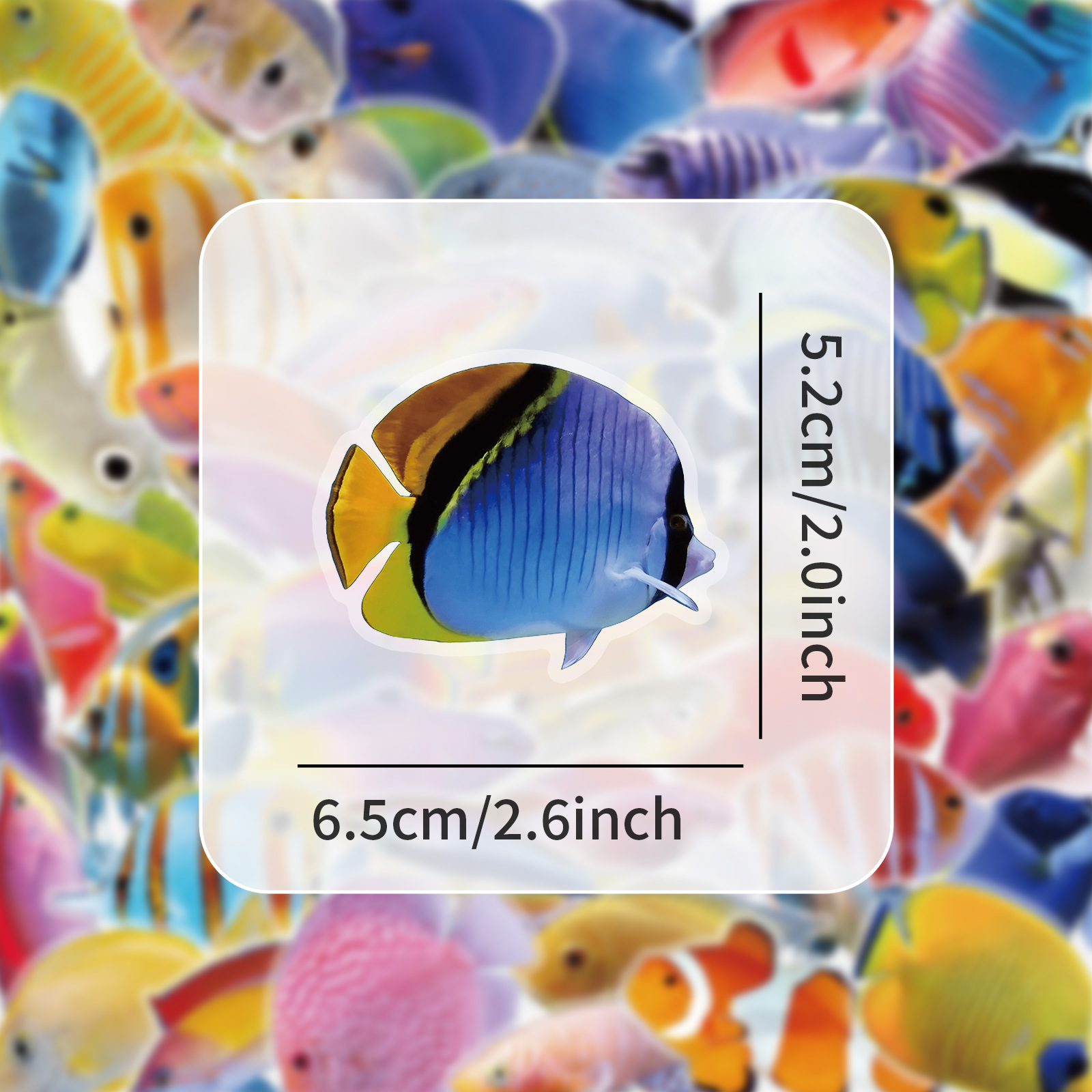 50-100 Buah Stiker Ikan Karang - Marine Coral ulasan dan harga