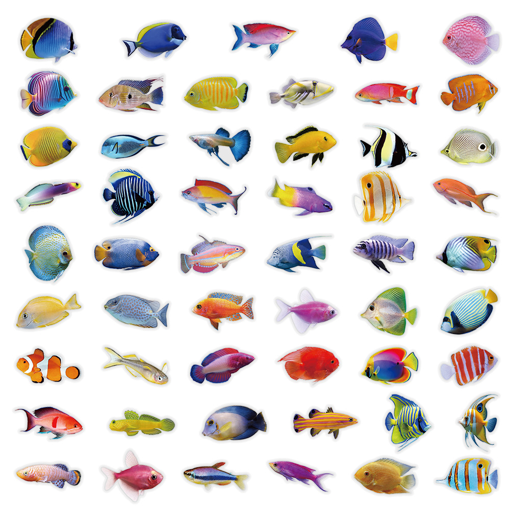 50-100 Buah Stiker Ikan Karang - Marine Coral ulasan dan harga