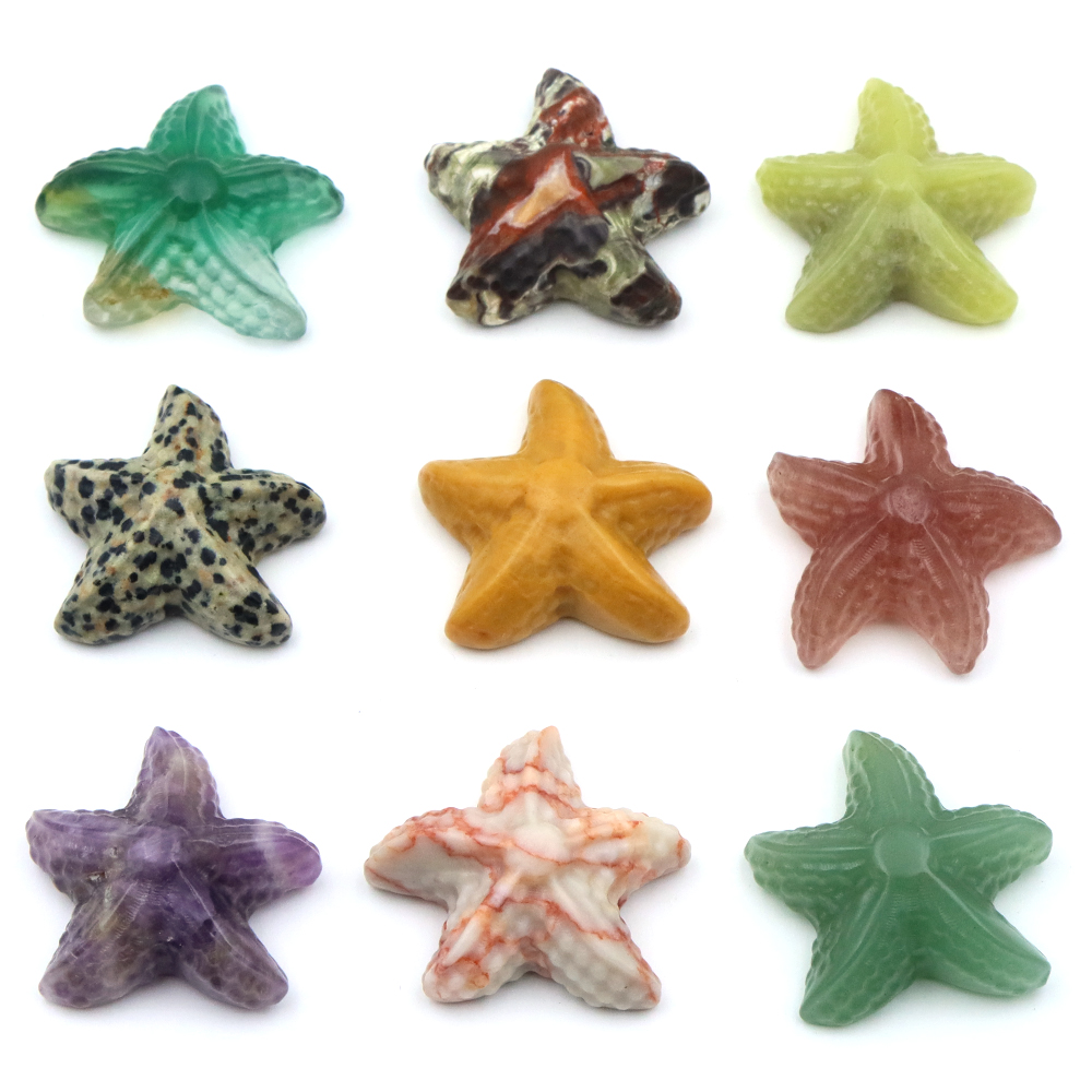 Patung Bentuk Bintang Laut 35M - Marine Aquarium ulasan dan harga